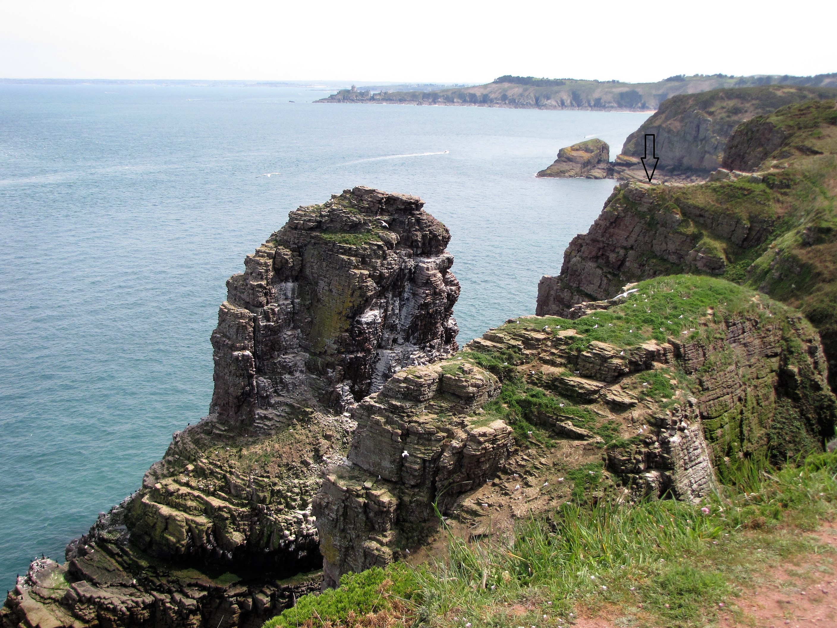 Cap-Fréhel.jpg