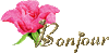 Fanny rose.gif
