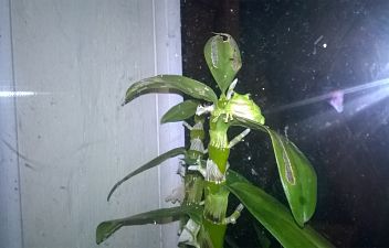 WP_20170603_23_46_38_Pro_opt.jpg