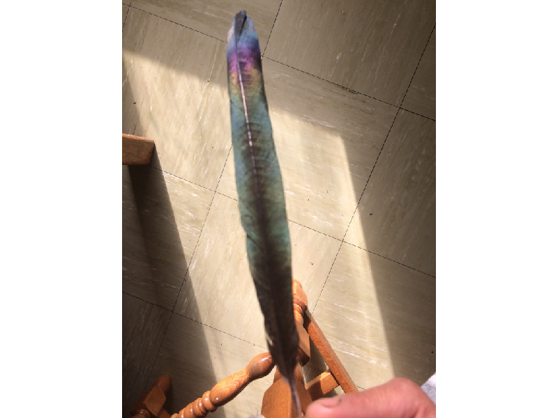 F818D505-3032-4F07-A355-412986F64EE0.png