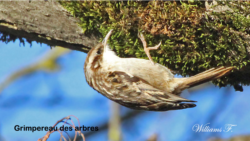 Sans-titre-16.jpg