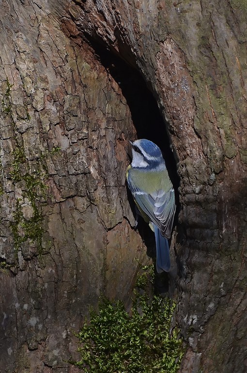 DSC_0102_filtered (Copier).jpg