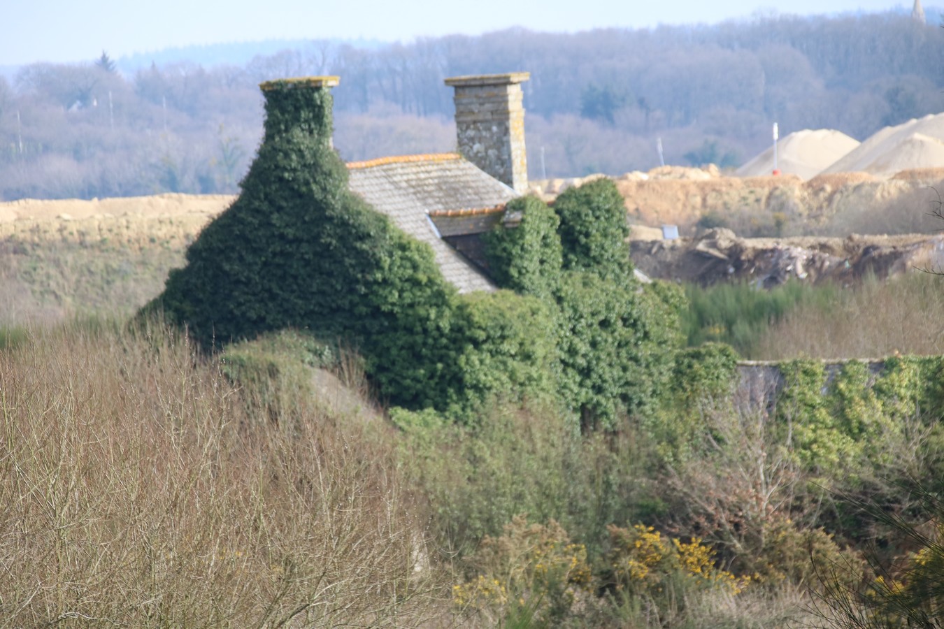IMG_4624 - Copie.jpg