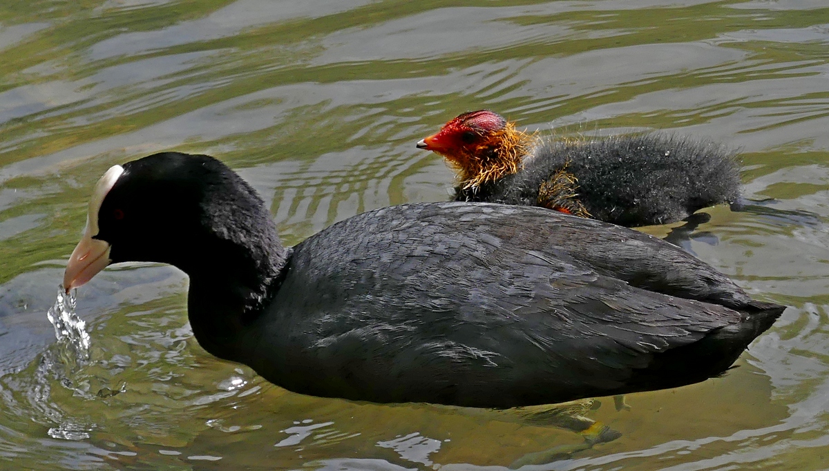 05.05.2019lumix.jpg_22.jpg