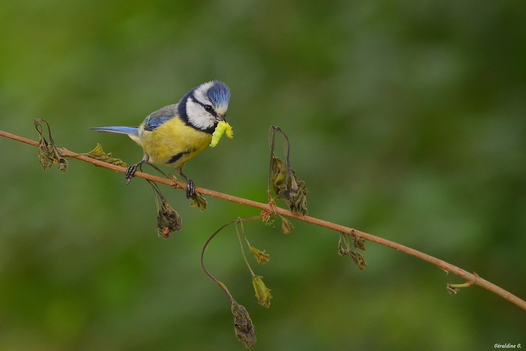 DSC_0093_filtered-001 (Copier).jpg