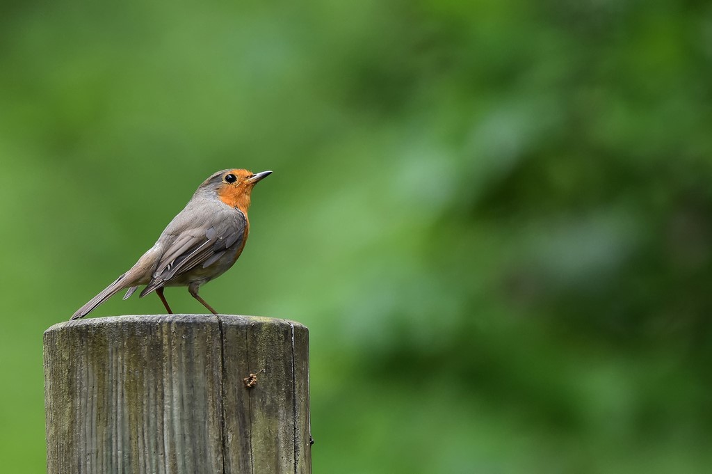 DSC_0153_filtered (Copier).jpg