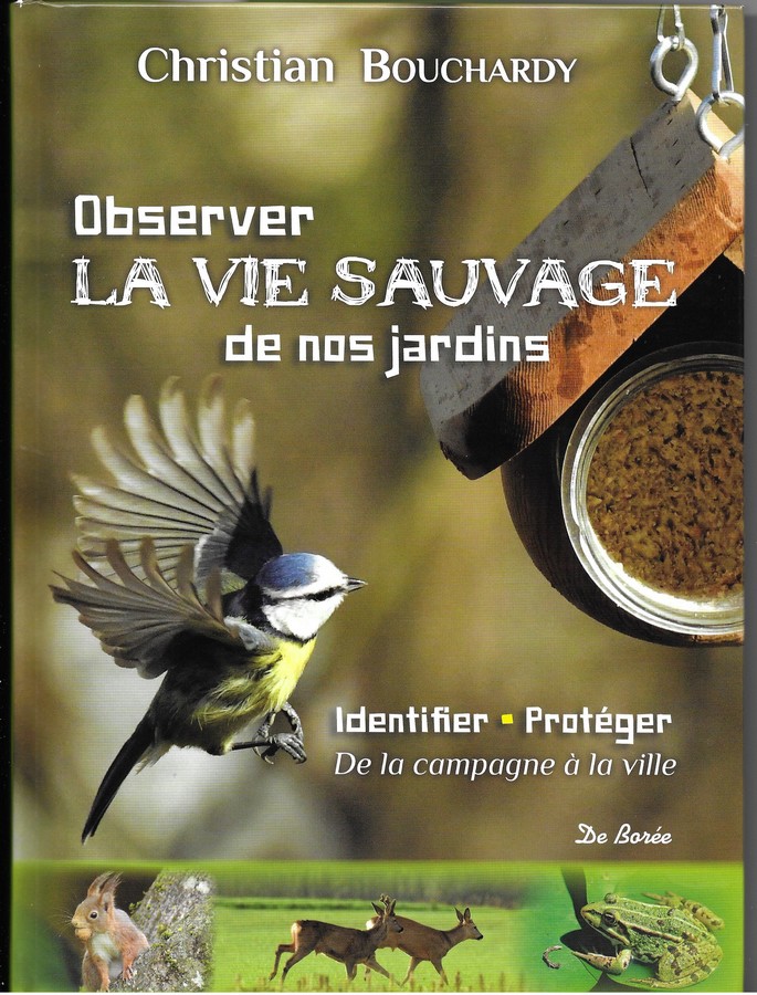 Scan.jpg