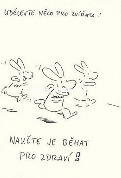 naucte-je-behat-pro-zdravi1.jpg