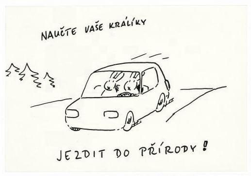 naucte-vase-kraliky1.jpg
