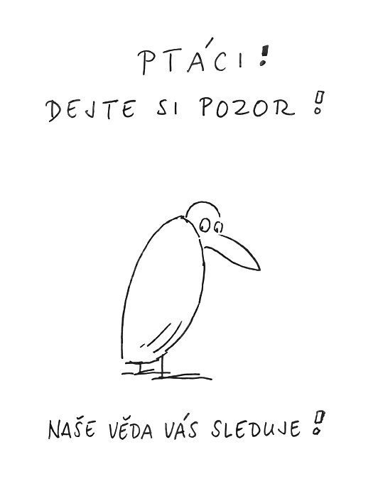 ptaci-dejte-si-pozor.jpg
