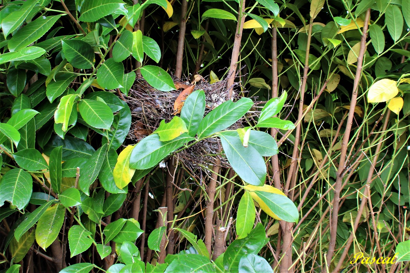 IMG_5073 - Copie.JPG