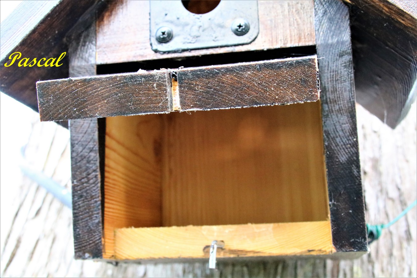 IMG_5342 - Copie.JPG