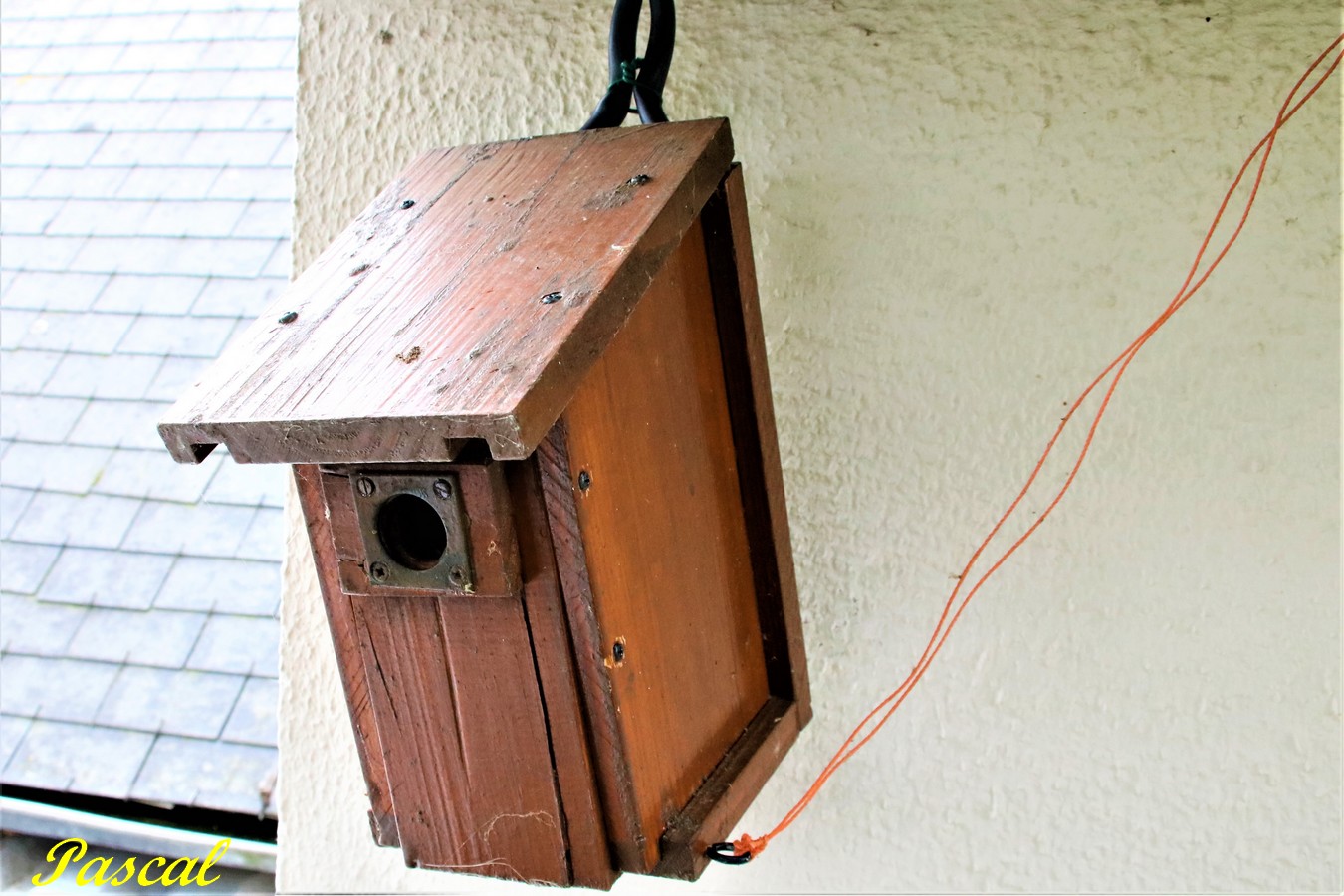 IMG_5351 - Copie.JPG