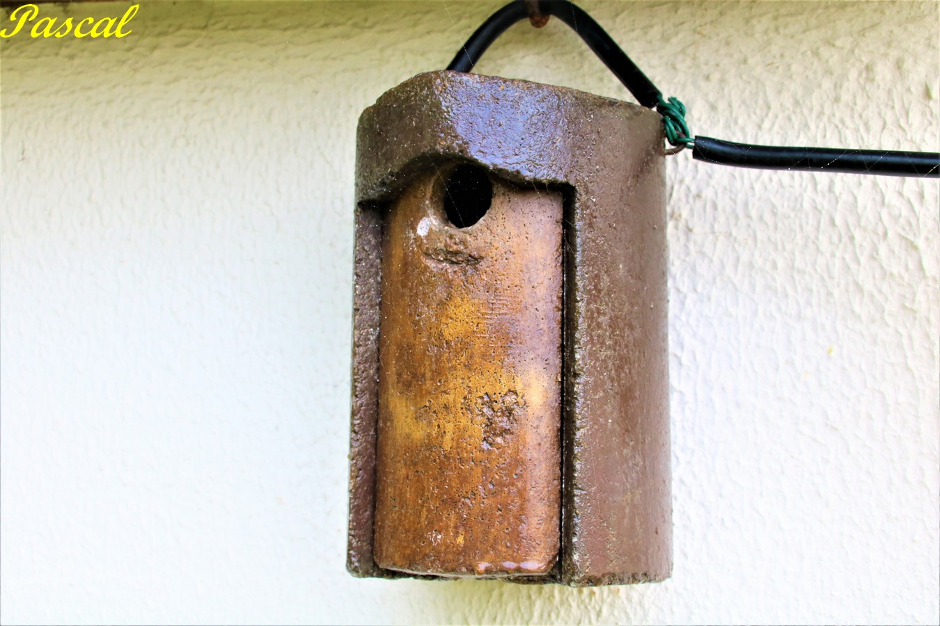 IMG_5354 - Copie.JPG