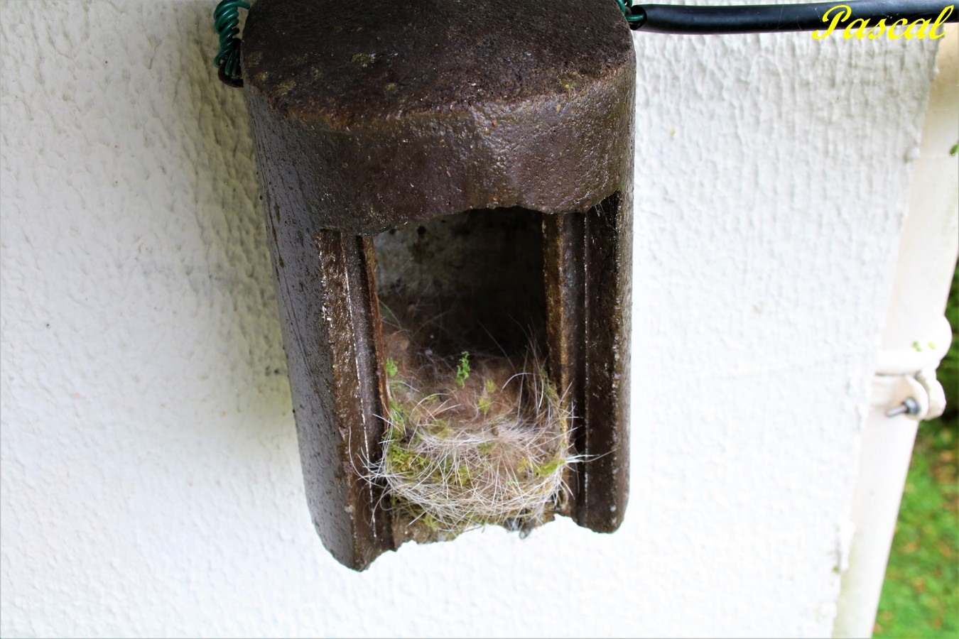 IMG_5355 - Copie.JPG