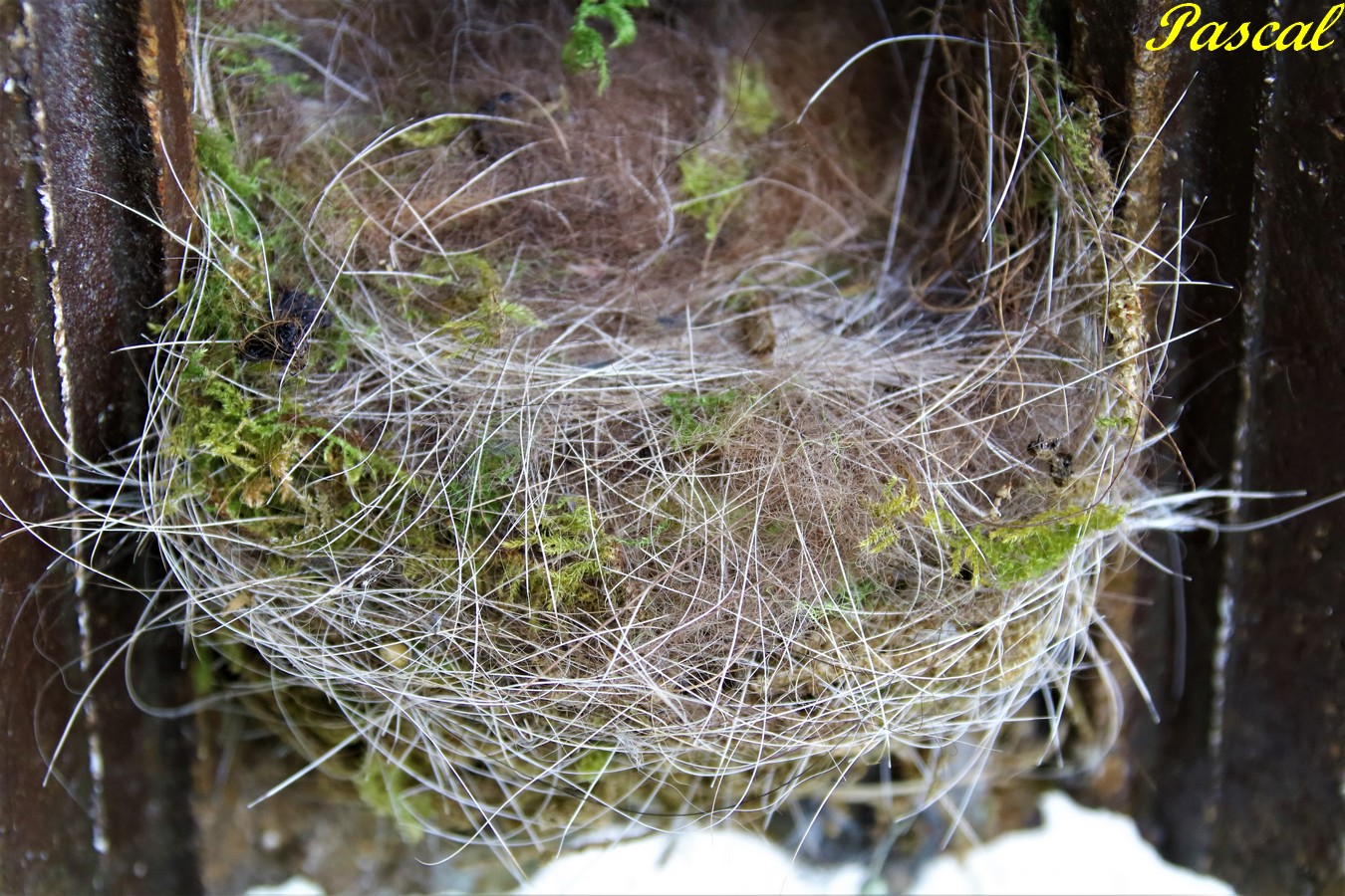 IMG_5356 - Copie.JPG