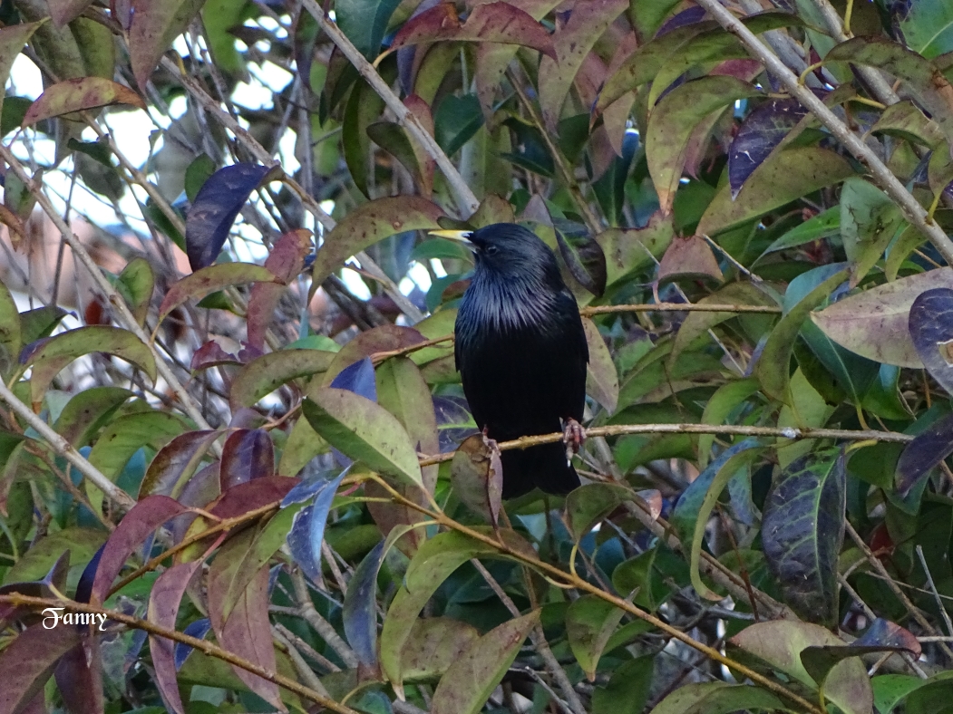 Etour SignDSC05696.jpg