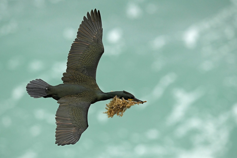 _DSC4320 - Copie.jpg