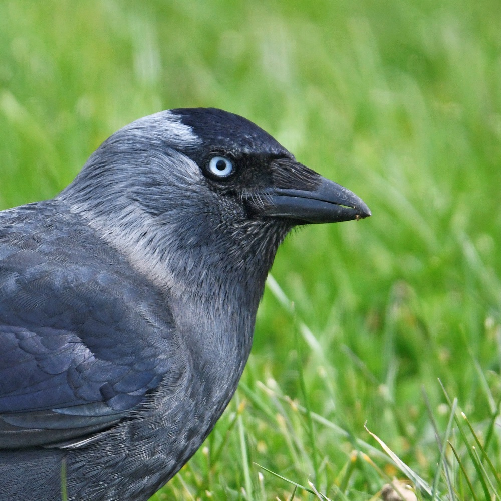 _DSC5159 - Copie.jpg