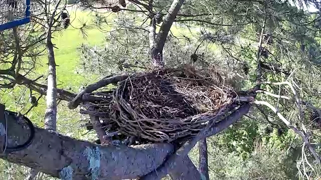 vue depuis la camera.jpg