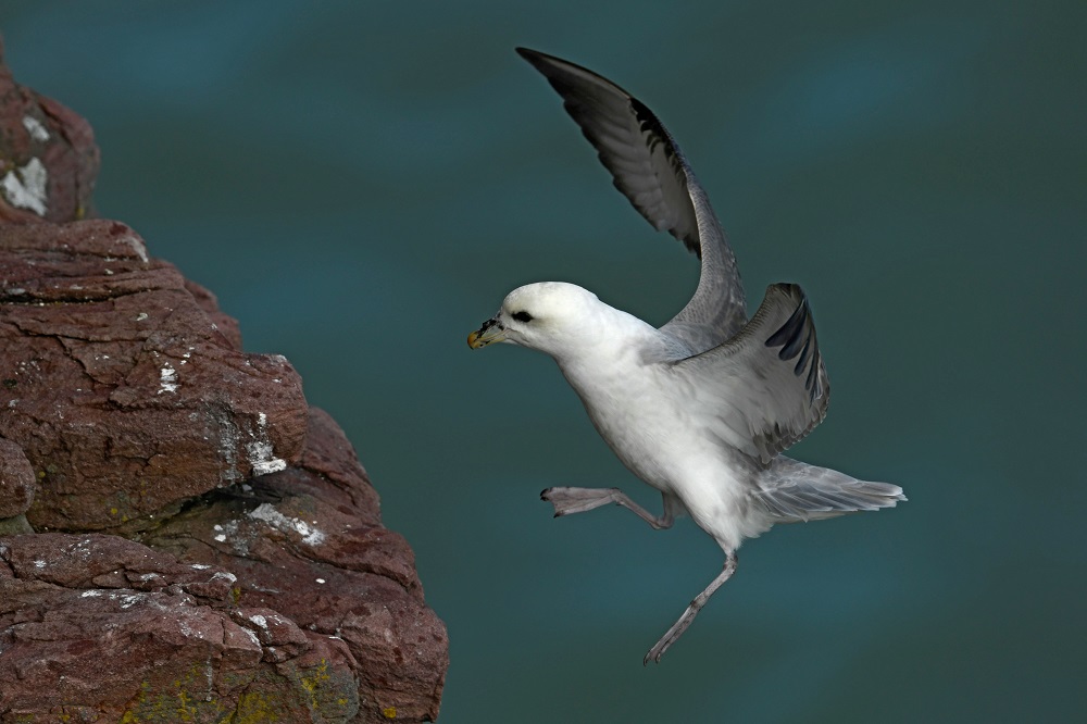 _DSC4936 - Copie.jpg