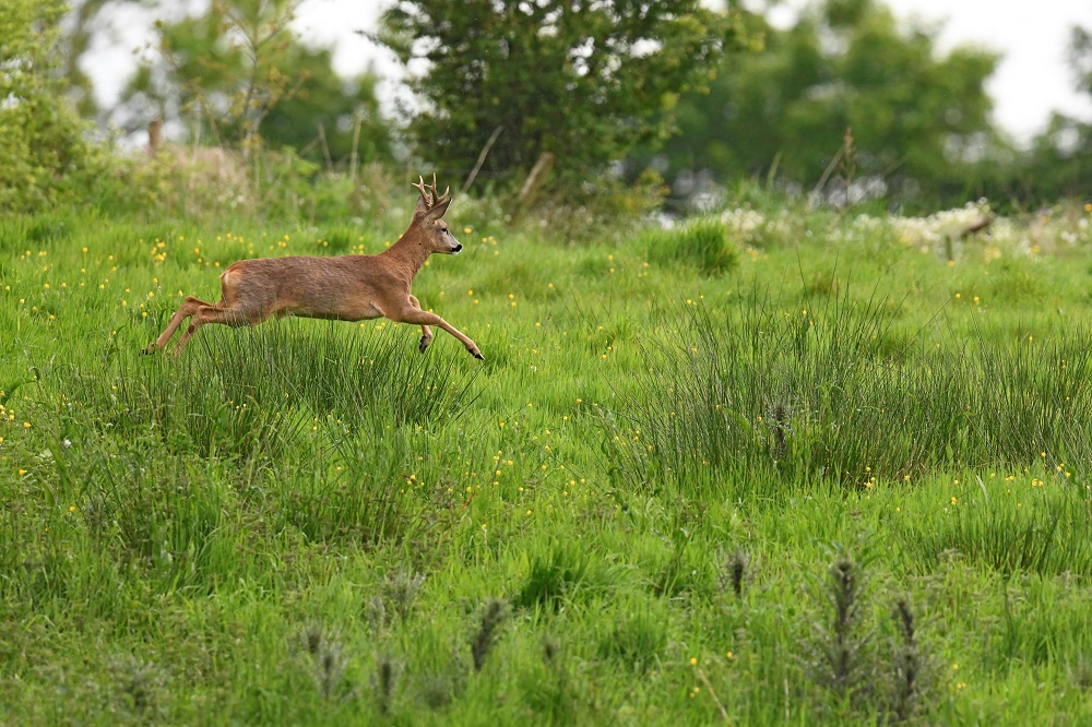 _DSC6306 - Copie (2).jpg