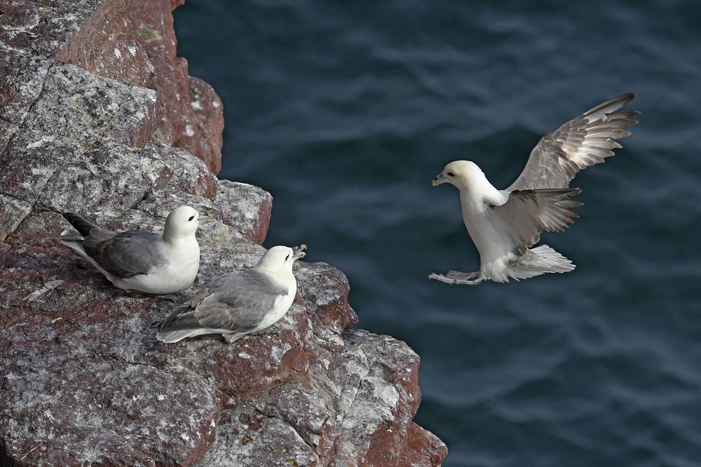 DSC_0434 - Copie.jpg