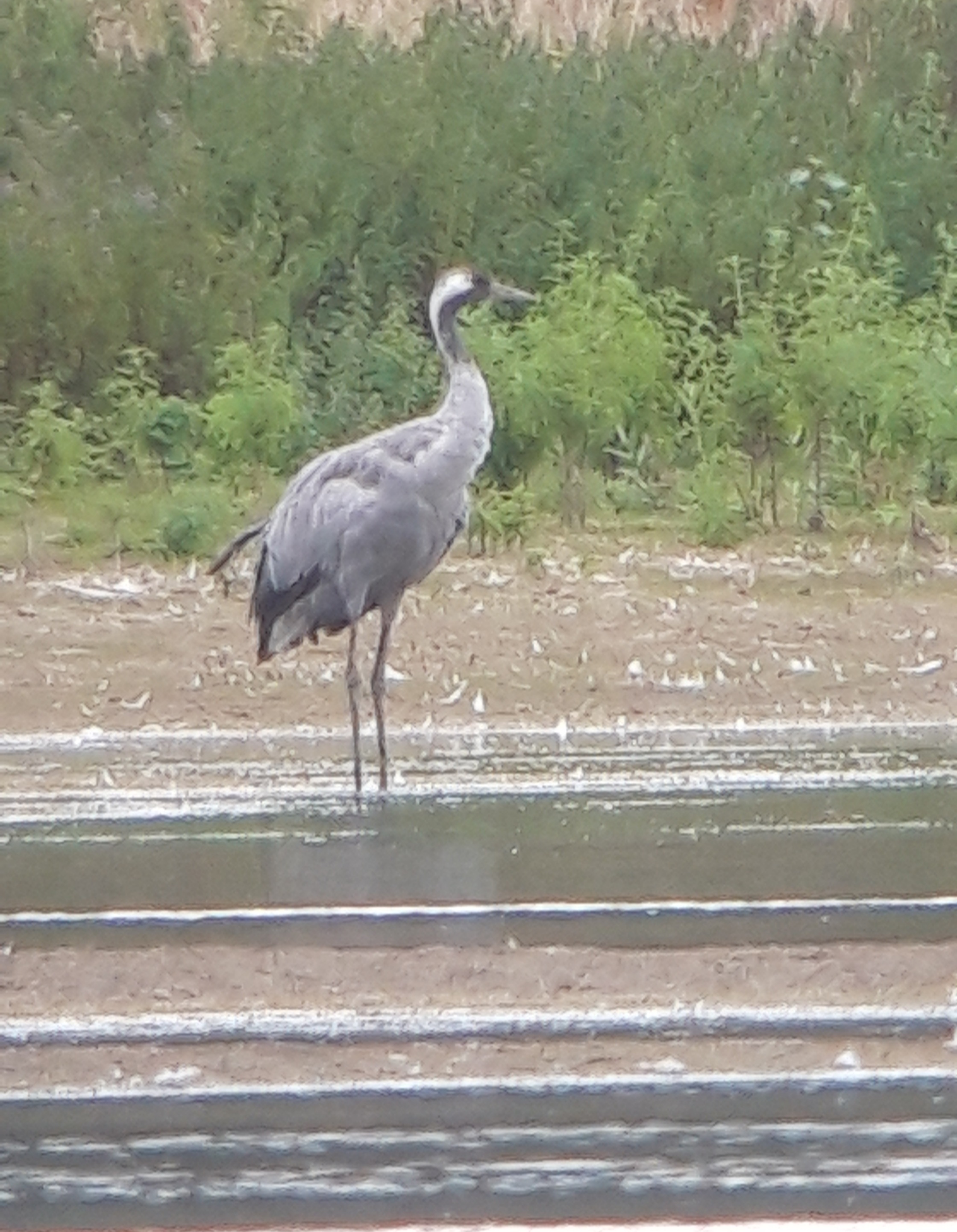 20200728_160250.jpg
