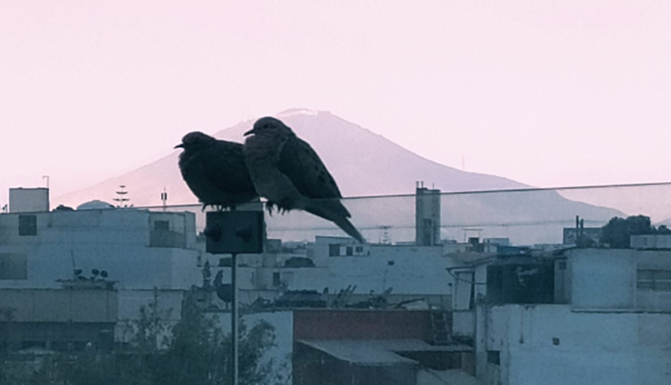 WhatsApp Image 2020-11-22 at 15.47.39.jpeg