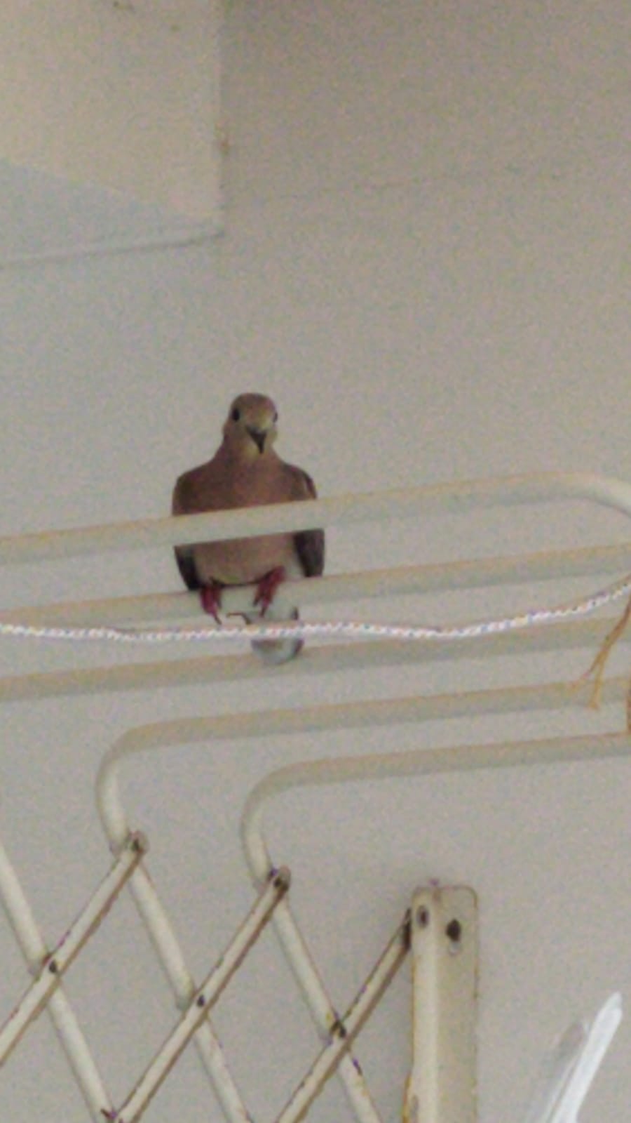 WhatsApp Image 2020-11-24 at 14.24.35.jpeg