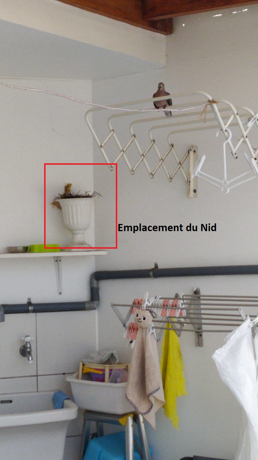 WhatsApp Image 2020-11-24 at 14.23.11.jpeg