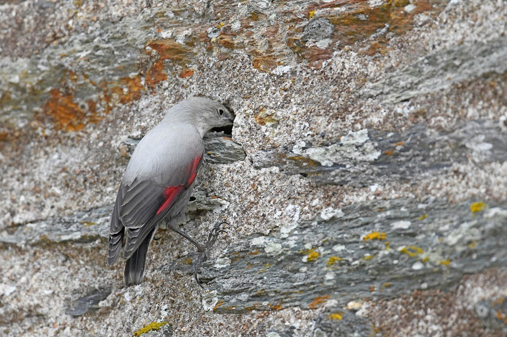 _DSC6870 - Copie.jpg