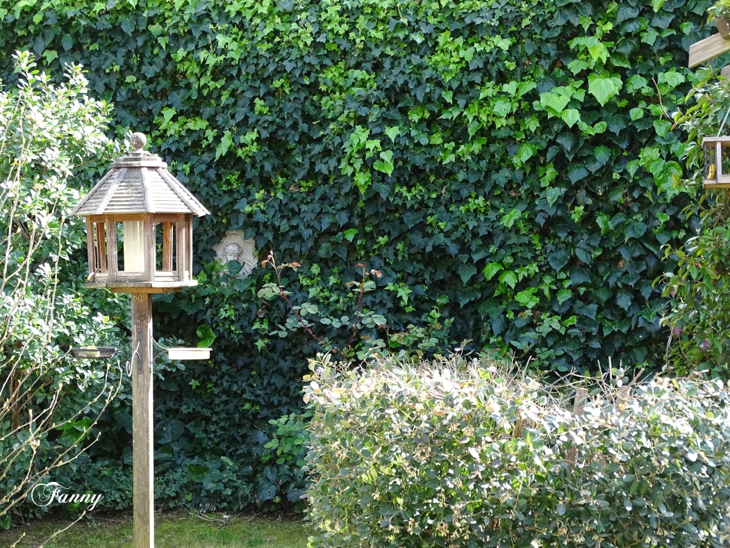 Merle signéeDSC06477.jpg