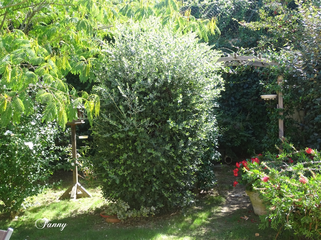 Septembre 2020 signéDSC06159.jpg