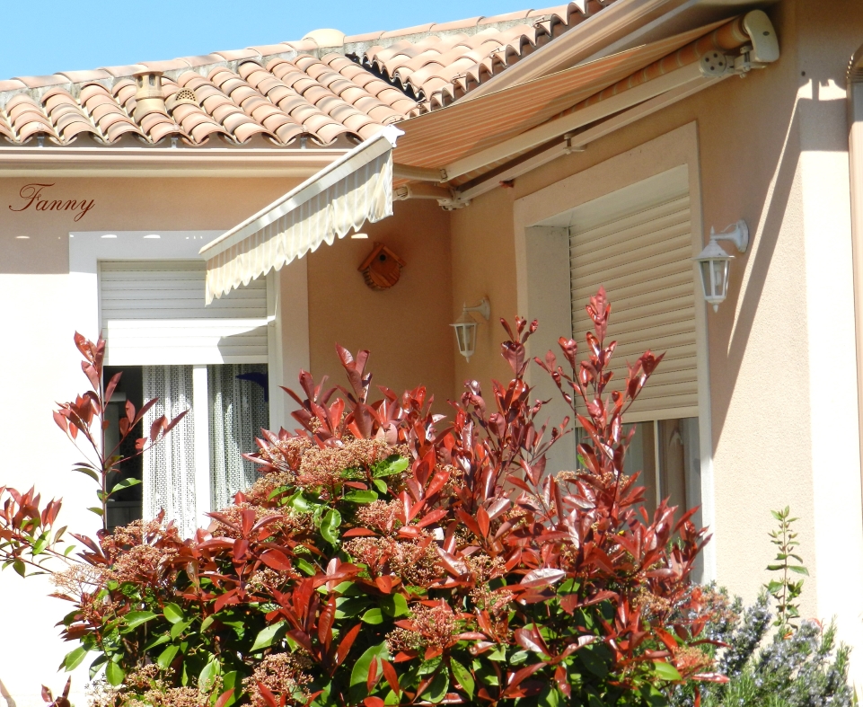 Nid des mésanges charbonn signéees 019 - Copie.jpg