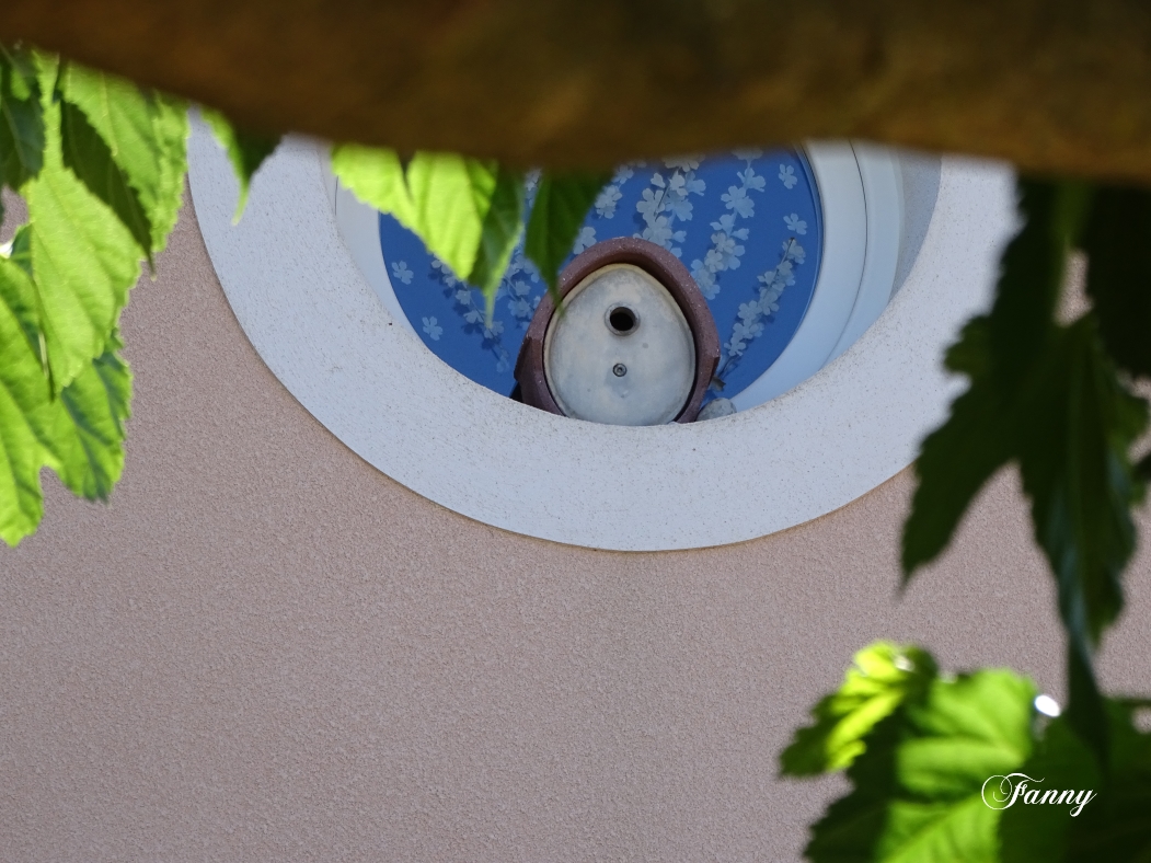 DSC06829 Signée.jpg