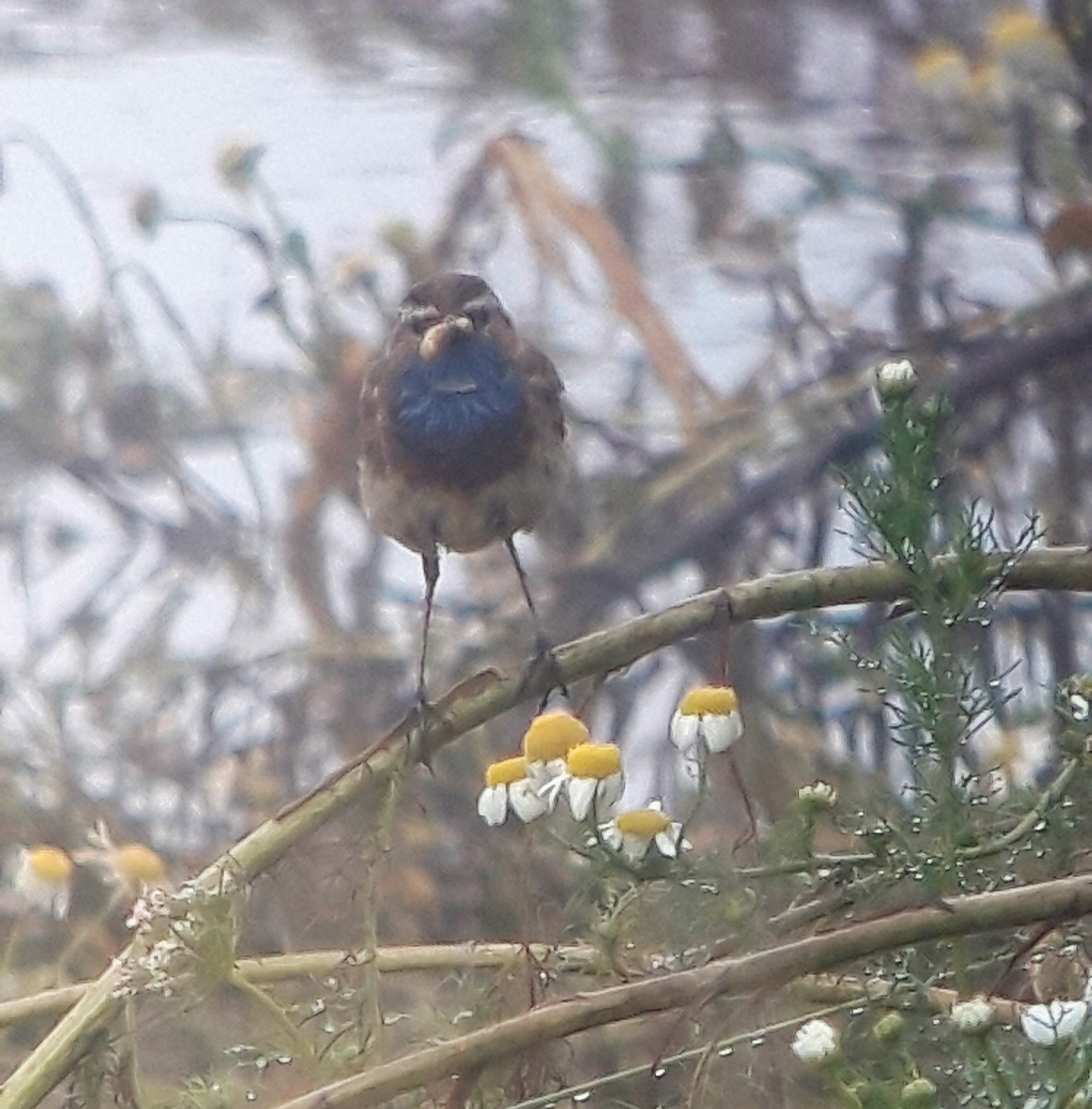 20210711_205809 (1).jpg