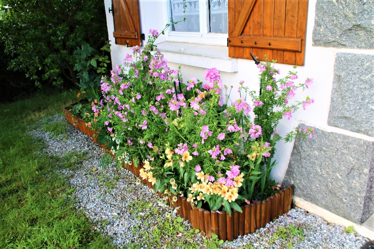Bordure gauche.JPG
