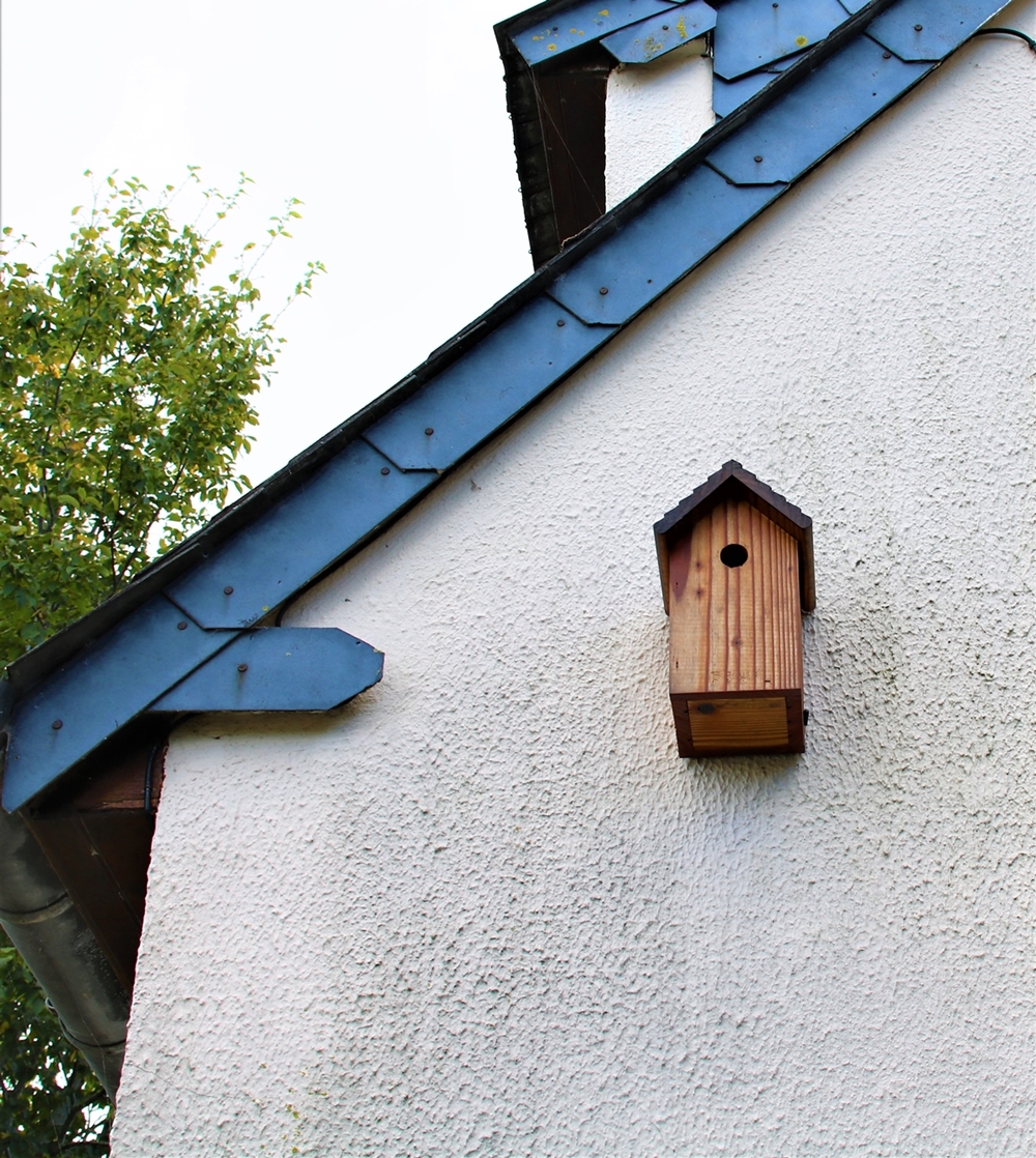 Nichoir LPO garage numéro 6.JPG