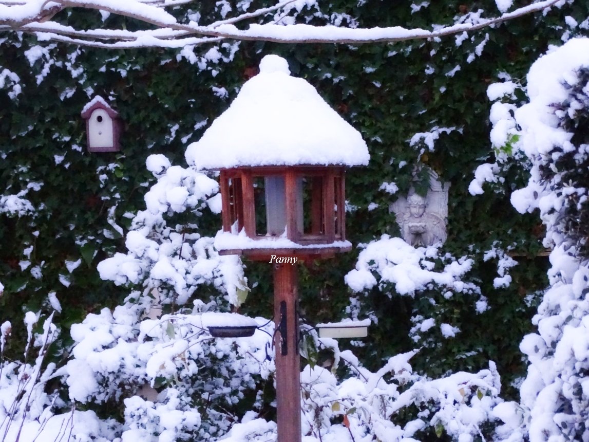 Neige 2 signéeDSC04684.jpg