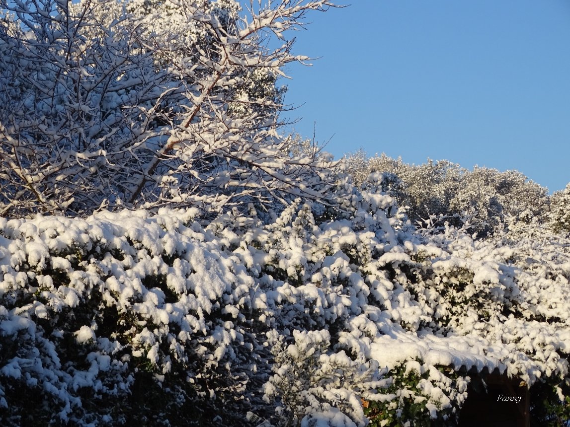 Neige  signéeDSC04735.jpg