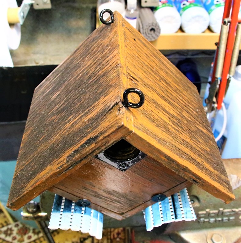 Nichoir suspendu Mésanges bleues Mûrier à feuilles de platanes (1).JPG