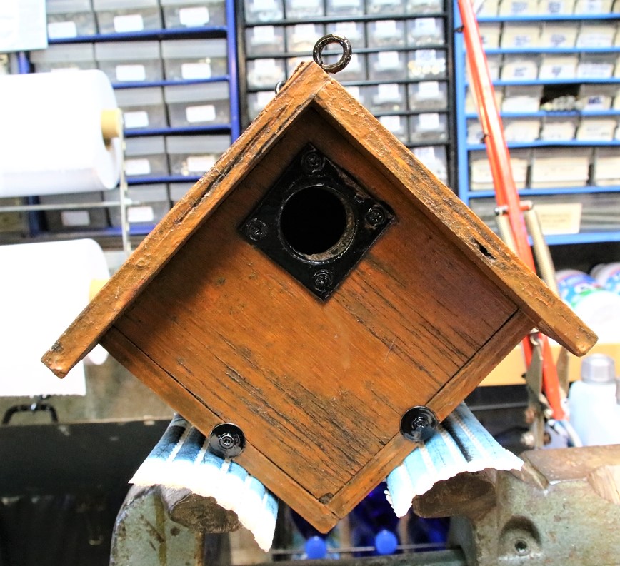 Nichoir suspendu Mésanges bleues Mûrier à feuilles de platanes (2).JPG