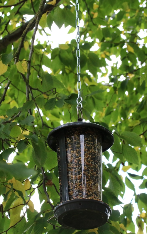 Suspension boules de graisses installation 13 Novembre 2021.JPG