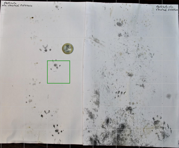 Relevé du Vendredi 21 Janvier 2022.png