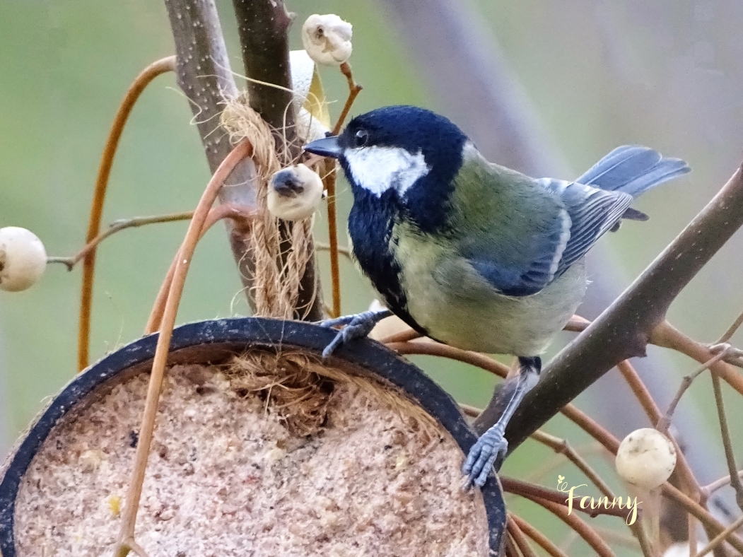 DSC07355 (2) Signée.jpg