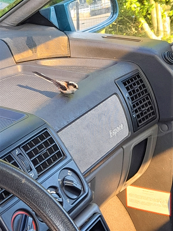 Orite Vendredi 15 Avril 2022 (1).jpg