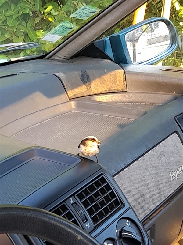 Orite Vendredi 15 Avril 2022 (2).jpg