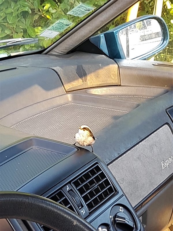 Orite Vendredi 15 Avril 2022 (3).jpg