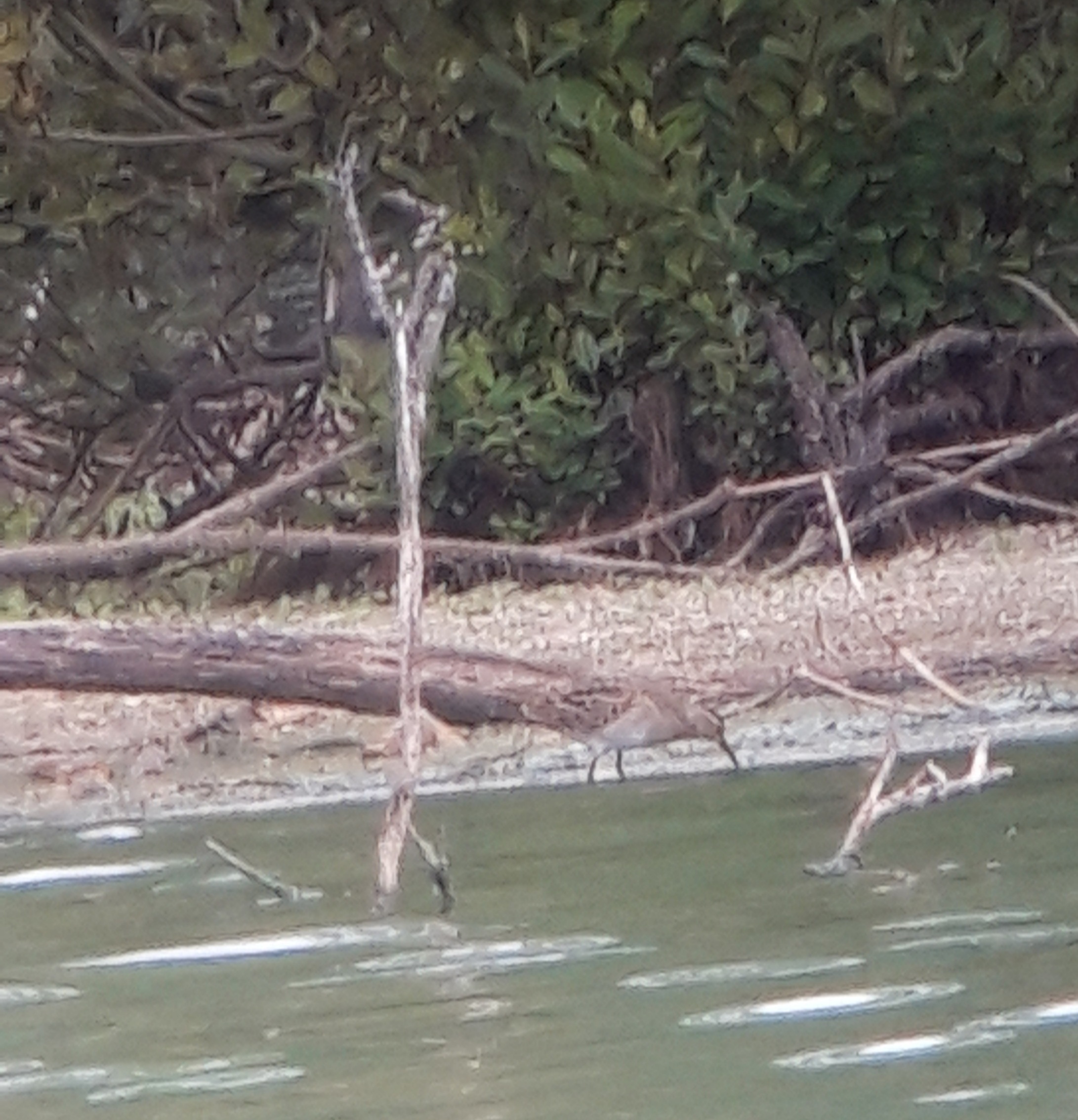 20220903_210259.jpg